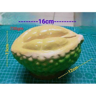 Fruit Type Coin Bank